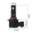 Светодиодные лампы HB3 для авто Carlamp Day Light Gen 2 Led автолампы 5800K 7500 Lm (DLG2HB3)