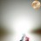 Светодиодные лед лампочки W5W T10 350Lm 9-16V Carlamp Canbus 3G-Series