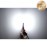 Светодиодные лед лампочки W16W T15 465Lm 9-16V Carlamp 3G-Series